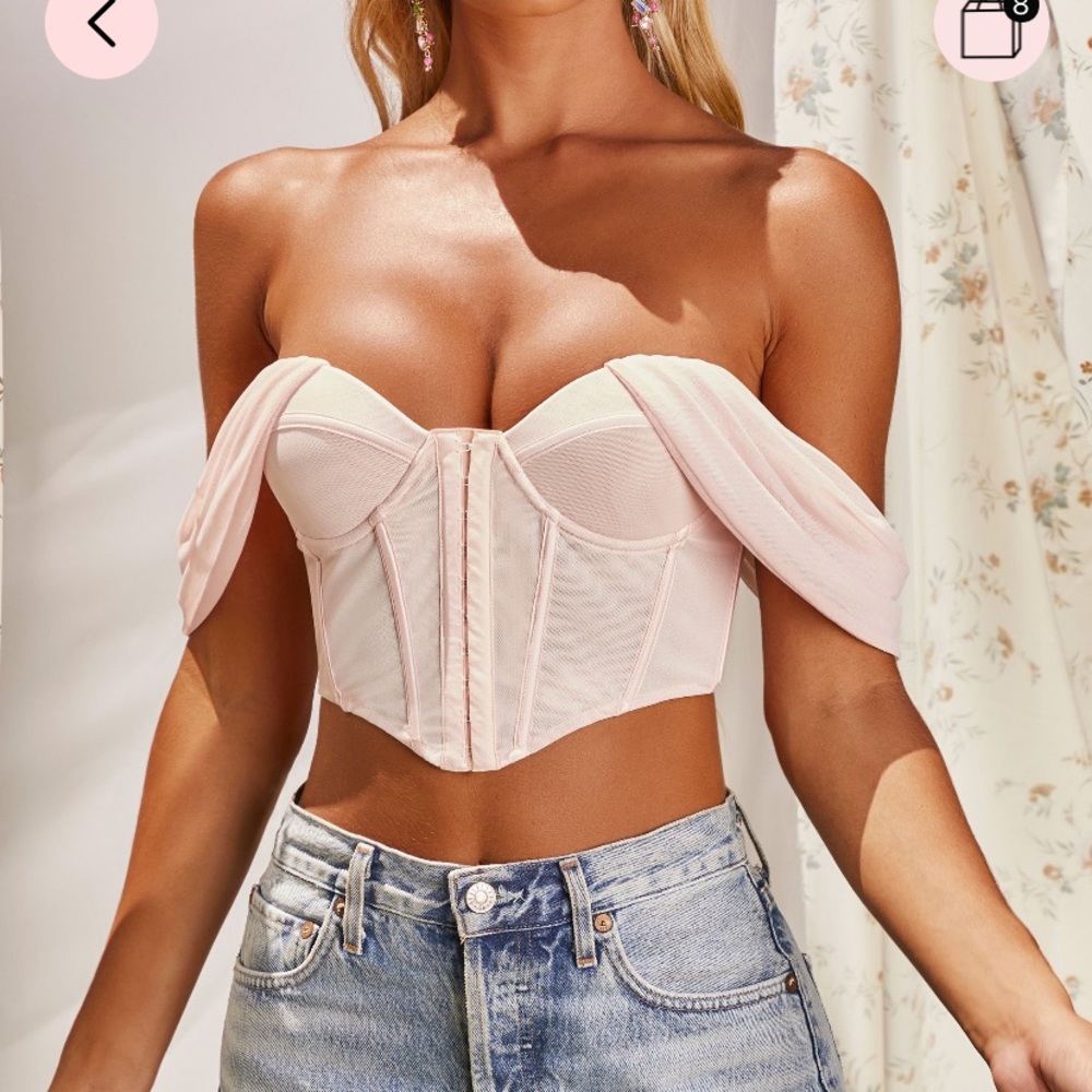 Runaway Bardot Mesh Corset Crop Top in Pink